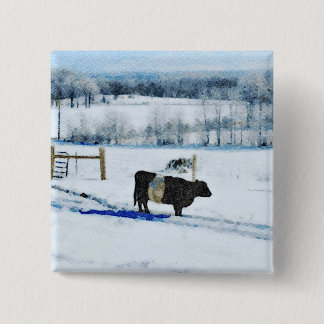 Chapa Cuadrada Vaca Galloway con cinturón de nieve en color nieve