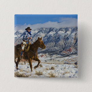 Chapa Cuadrada Vaquero en las grietas 2 del cuero del caballo que