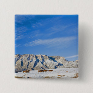 Chapa Cuadrada Vaqueros con oído de caballos