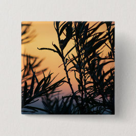 Chapa Cuadrada Vegetación al atardecer