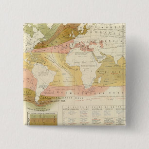 Chapa Cuadrada Vida marina