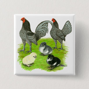 Chapa Cuadrada Vieja familia de juegos azul inglesa