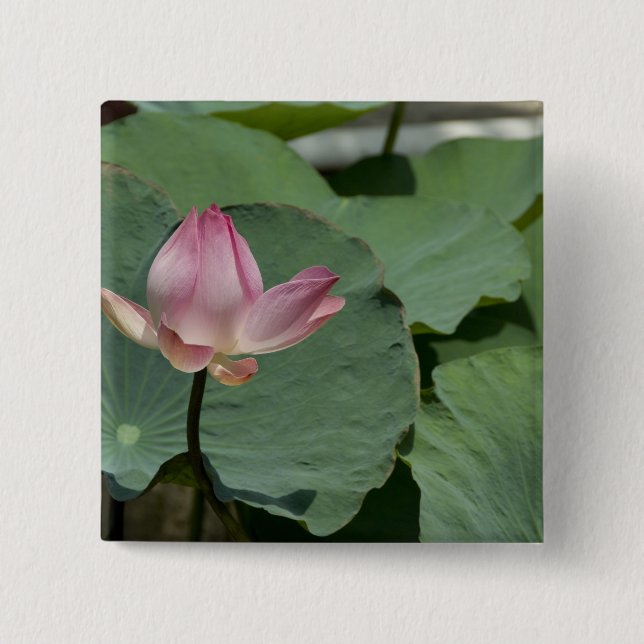 Chapa Cuadrada Vietnam, cerca de Saigón) My Tho. Vinh Trang 2 (Anverso)