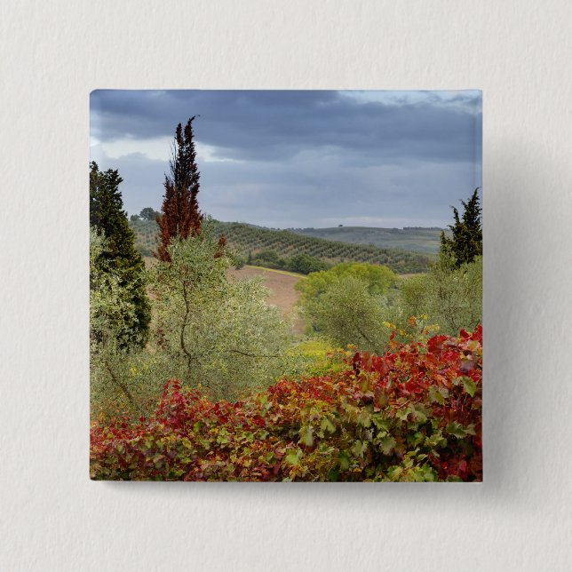 Chapa Cuadrada Viñedo cerca de Montalcino, Toscana, Italia (Anverso)