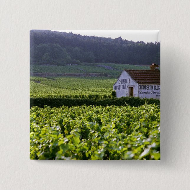 Chapa Cuadrada viñedo Chambertin Clos de Beze Grand Cru con (Anverso)