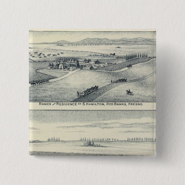 Chapa Cuadrada Viñedo Estella Blanca, California (Anverso)