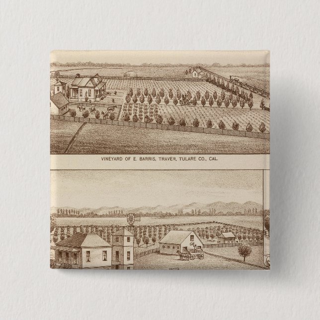 Chapa Cuadrada Viñedos, ranchos, Tulare Co, Calif (Anverso)