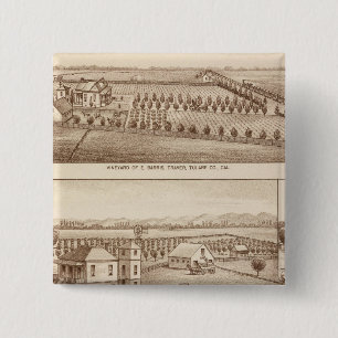 Chapa Cuadrada Viñedos, ranchos, Tulare Co, Calif