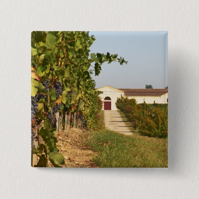 Chapa Cuadrada Viñedos, vides petit verdot y la bodega en (Anverso)