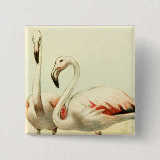 Chapa Cuadrada Vintage Flamingo