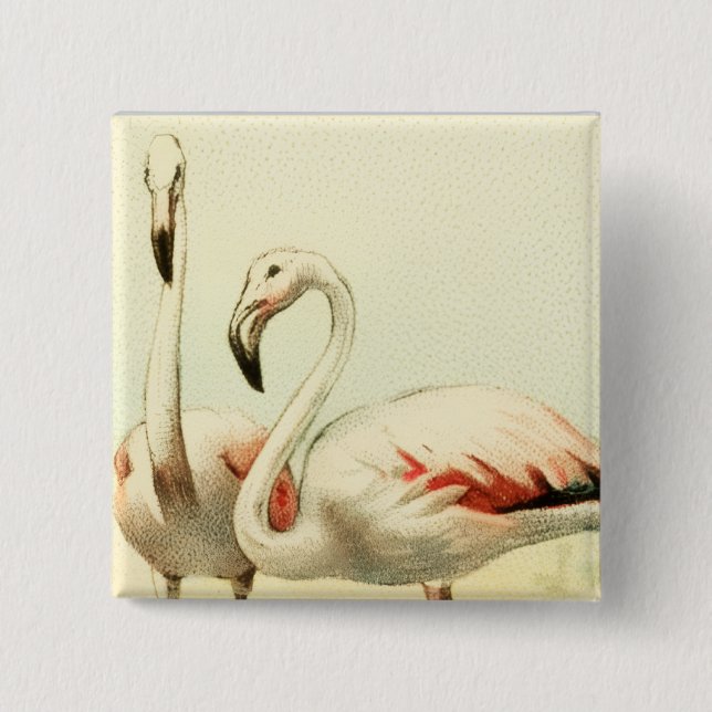 Chapa Cuadrada Vintage Flamingo (Anverso)