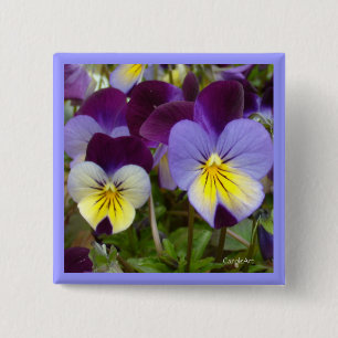 Chapa Cuadrada violas púrpuras amarillas azules 7a