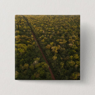 Chapa Cuadrada Vista aérea de selva tropical. Reserva de Iwokrama