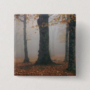 Chapa Cuadrada Vista de otoño de bosque brumoso, Grandfather 2