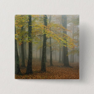 Chapa Cuadrada Vista de otoño de un bosque brumoso, Grandfather 3