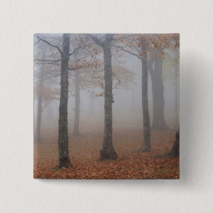 Chapa Cuadrada Vista del otoño del bosque nublado, abuelo