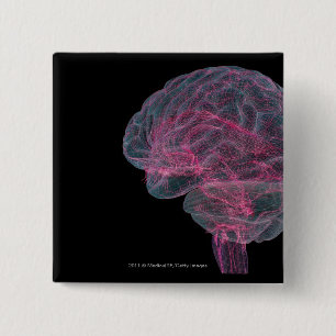 Chapa Cuadrada Vista posterior del cerebro humano