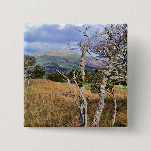 CHAPA CUADRADA VISTAS DE GALES (Anverso)