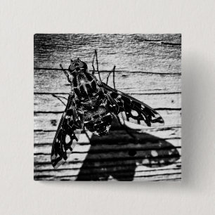 Chapa Cuadrada volver atrás