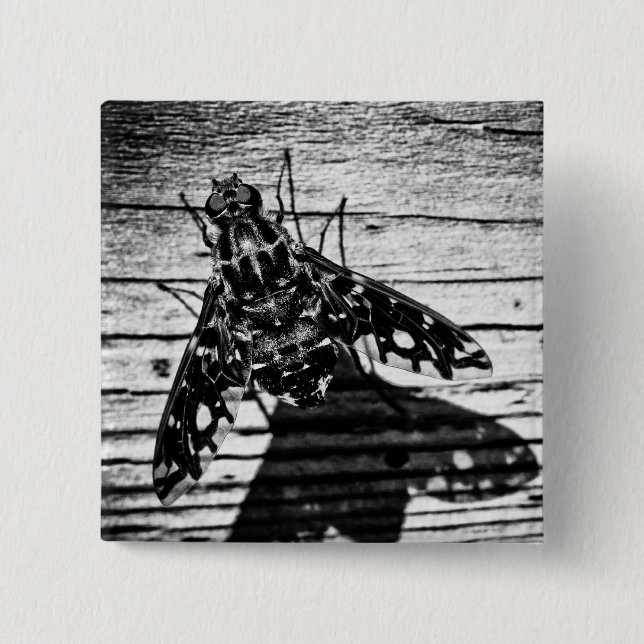 Chapa Cuadrada volver atrás (Anverso)