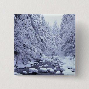 Chapa Cuadrada WA, Bosque Nacional Mount Baker-Snoqualmie,