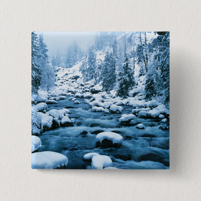 Chapa Cuadrada WA, Bosque Nacional Wenatchee, Cascada (Anverso)