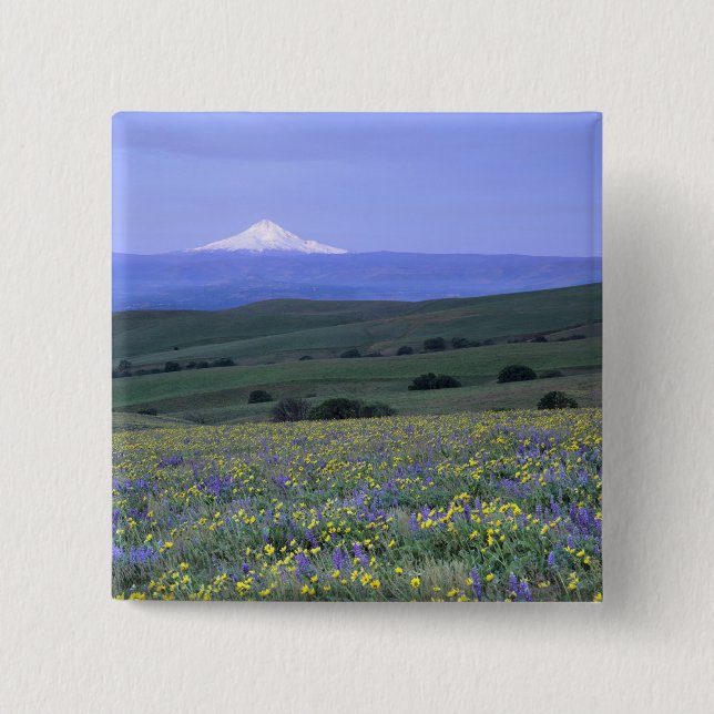 Chapa Cuadrada WA, Condado de Klickitat, Dalles Mountain Ranch, (Anverso)