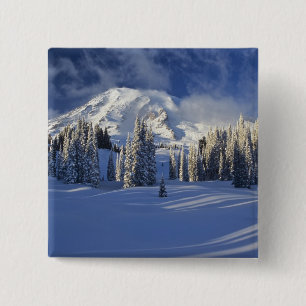 Chapa Cuadrada WA, Parque Nacional Mt. Rainier, Mt. Rainier y Par