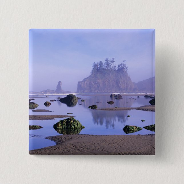 Chapa Cuadrada WA, Parque Nacional Olímpico, Second Beach, (Anverso)