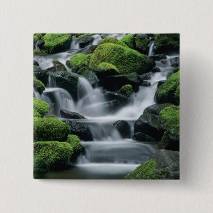 Chapa Cuadrada WA, Parque Nacional Olímpico, Valle de Sol Duc, ar