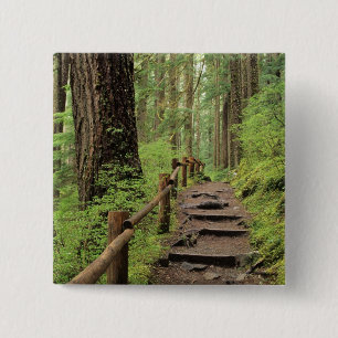 Chapa Cuadrada WA, Parque Nacional Olympic, Valle de Sol Duc, bos