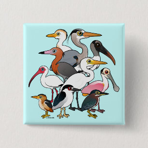 Chapa Cuadrada Waders norteamericanos