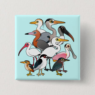 Chapa Cuadrada Waders norteamericanos