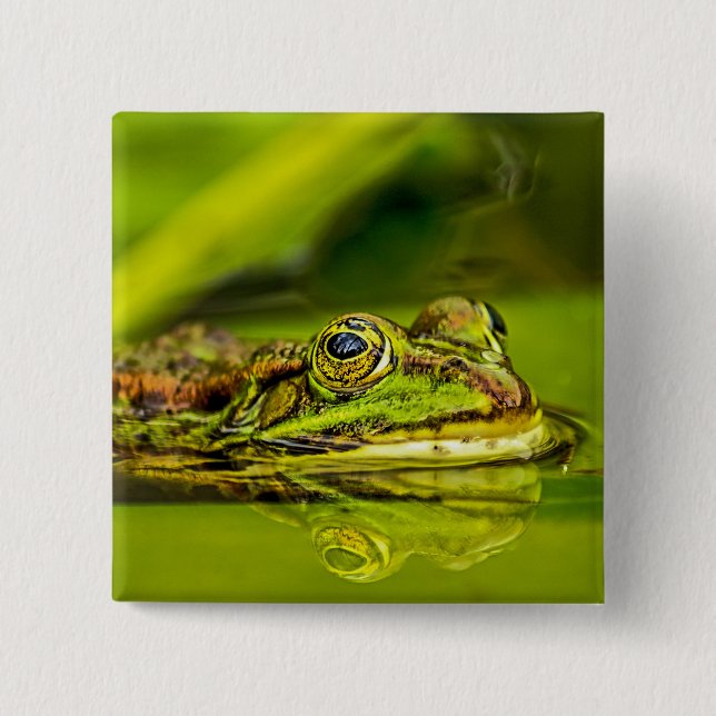 Chapa Cuadrada water frog (Anverso)