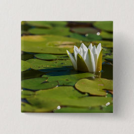 Chapa Cuadrada Water Lily Blossom