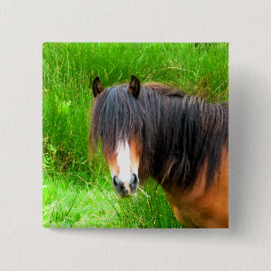 CHAPA CUADRADA WELSH MOUNTAIN PONY