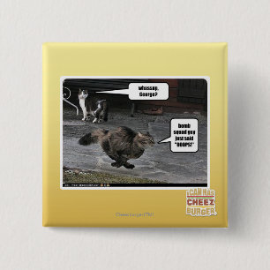 Chapa Cuadrada ¿whassup, George?