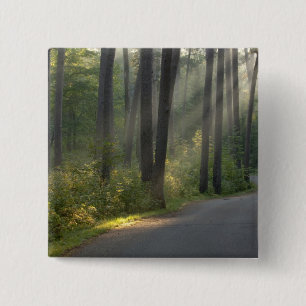 Chapa Cuadrada Wilderness Drive, Parque Estatal Itasca,