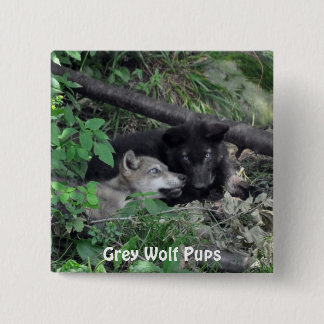 Chapa Cuadrada Wildlife Gray Wolf Animal lover design