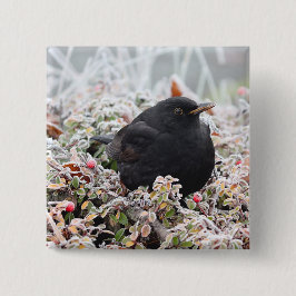 Chapa Cuadrada Winter Blackbird