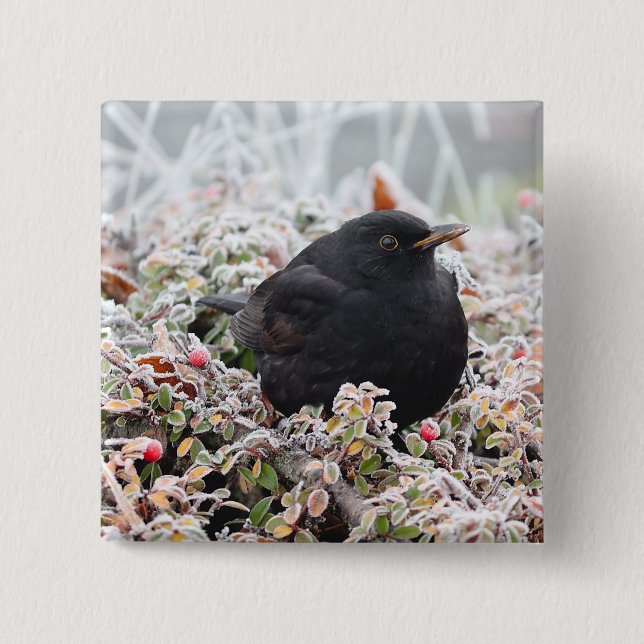 Chapa Cuadrada Winter Blackbird (Anverso)