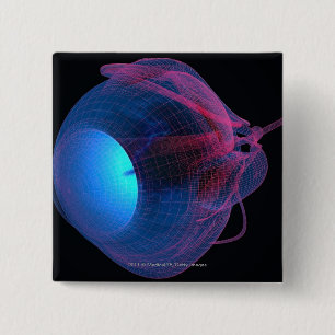 Chapa Cuadrada Wireframe de los músculos del ojo