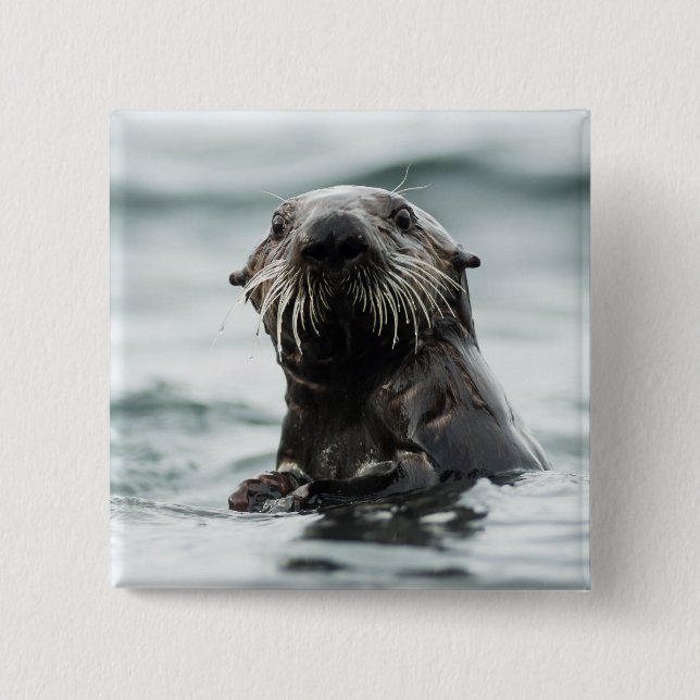 Chapa Cuadrada Wise Otter (Anverso)