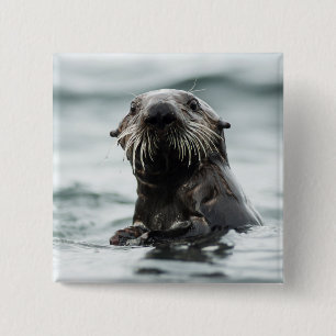 Chapa Cuadrada Wise Otter