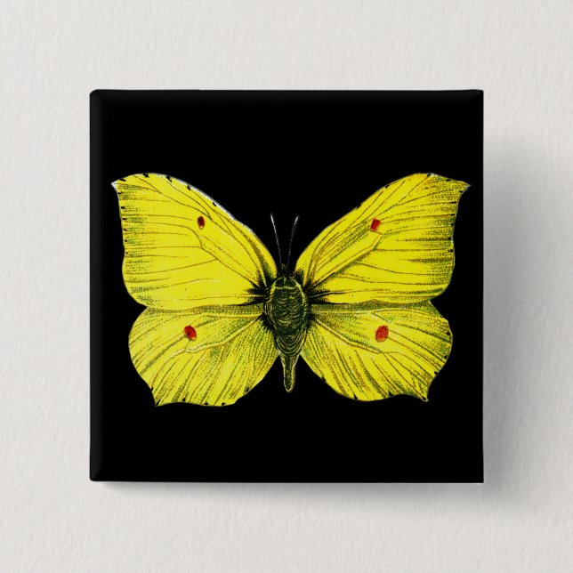 Chapa Cuadrada Zitronenfalter (Anverso)