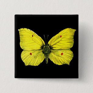 Chapa Cuadrada Zitronenfalter