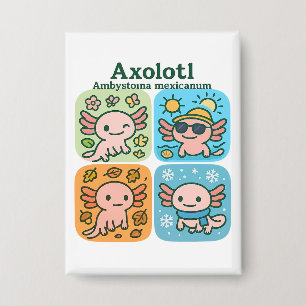 Chapa Cute Axolotl Seasons Collection - Temporadas