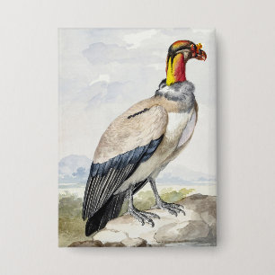 Chapa Decoración de pared de buitre rey exótico vibrante