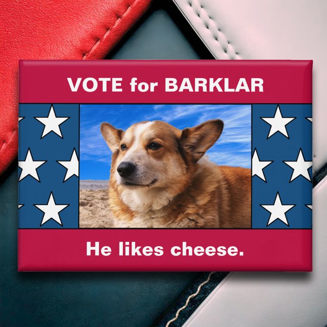 Chapa Divertida campaña electoral del presidente de un p (Funny Custom Dog Photo 2024 Presidential Election Campaign Button Non Partisan Political Humor)