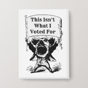 Chapa Esto no es por lo que voté